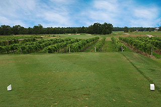 The Vineyard at Renault - Atlantic City Golf Course